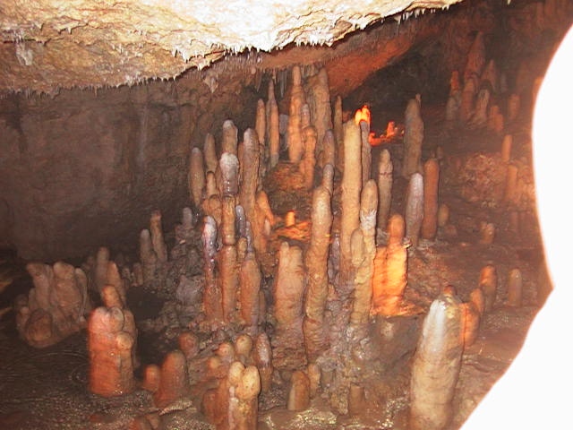 Harrison's Cave--Hmm, those stalagmites look like ... um, nevermind.